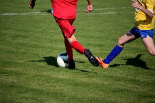 678网校-国家体育场馆运营管理论坛探讨智能化方向，国家体育总局体育场馆运营管理办法  第1张